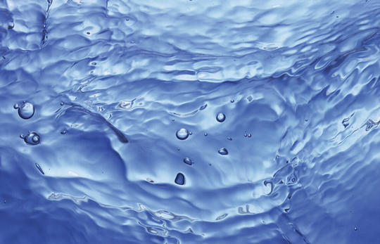 GROHE Water Insights 2025
