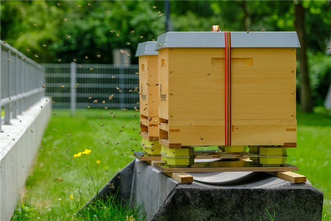 Zwischen dem neuen Parkhaus und dem Gebäudeteil C stehen seit kurzem zwei Bienenstöcke. © Deutsche Telekom