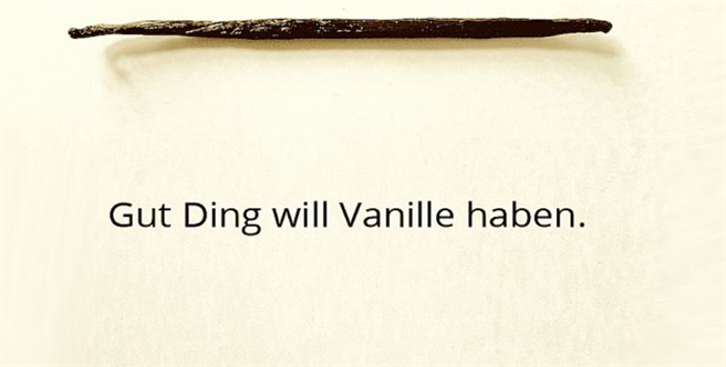 Die Vanilla Campaign bietet fair gehandelte Vanille aus Mexiko. © Vanilla Campaign