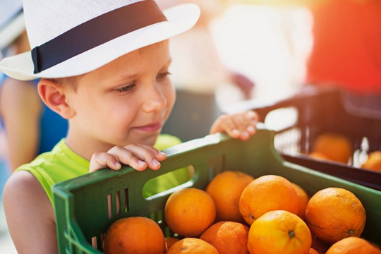 Bruchquotenstudie 2025: Hohe Produktsicherheit durch Mehrwegtransportverpackungen