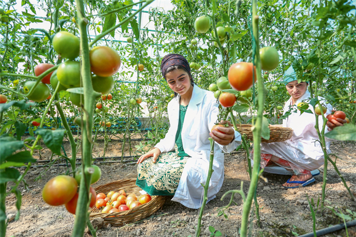 Sicherung von Landrechten für Frauen in Tadschikistan: Frauen stellen fast die Hälfte der weltweiten Agrararbeiterschaft, doch weniger als ein Fünftel der Landbesitzer weltweit sind Frauen. ©UNCCD