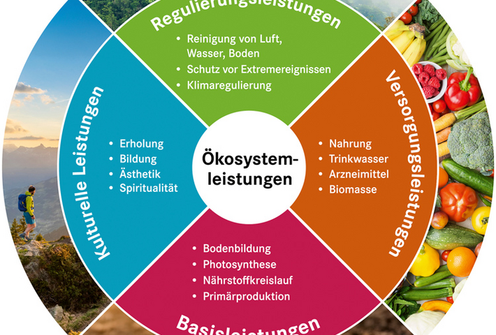 Geht Wohlstand ohne Biodiversität?