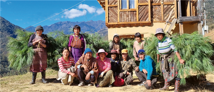 In respektvoller Verbindung mit der Natur: Die Pflanzensammler*innen bringen die Äste der Himalayakiefer zur Destille. © PRIMAVERA LIFE