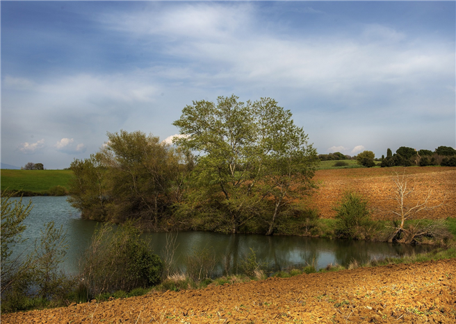 Die Ufer des angrenzenden Flusses 'Albegna'. Foto: LaSelva