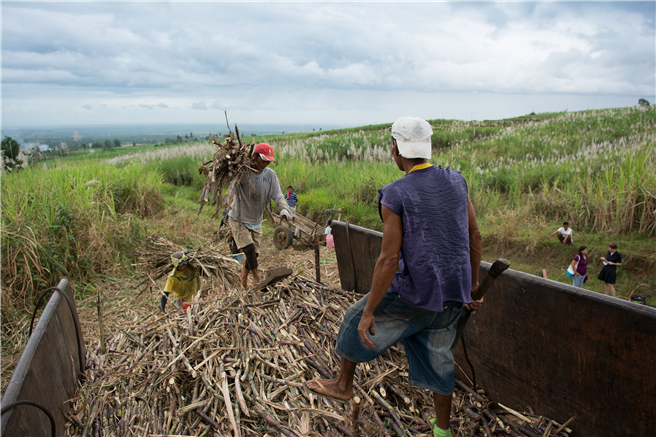 Beim GEPA-Zuckerpartner Alter Trade Corporation (ATC) auf den Philippinen sind aus landlosen Arbeiten erfolgreiche Bio-Bauern geworden. Ein Beispiel dafür, wie der Faire Handel Kleinbauern dabei unterstützt, ihre Rechte wahrzunehmen. Seit über 25 Jahren arbeitet die GEPA mit ATC zusammen. Die Menschenrechtslage auf den Philippinen hat sich mit Amtsantritt von Präsident Rodrigo Duterte massiv verschärft. Die Mehrzahl der Menschenrechtsaktivisten fällt Konflikten um Land zum Opfer. © GEPA – The Fair Trade Company/C. Nusch 
