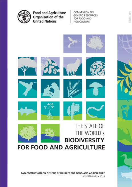 Der Bericht liefert ein umfassendes Bild über Zustand und Nutzung der Biodiversität in Landwirtschaft und Ernährung weltweit. © FAO / BLE