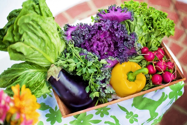 Lebensmittel sind ein wesentlicher Bestandteil unseres Wohlbefindens. © jill111, pixabay.com