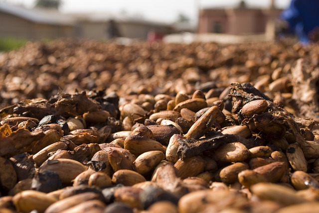 The ISO 34101 series aims to encourage the professionalization of cocoa farming. © dghchocolatier, pixabay.com