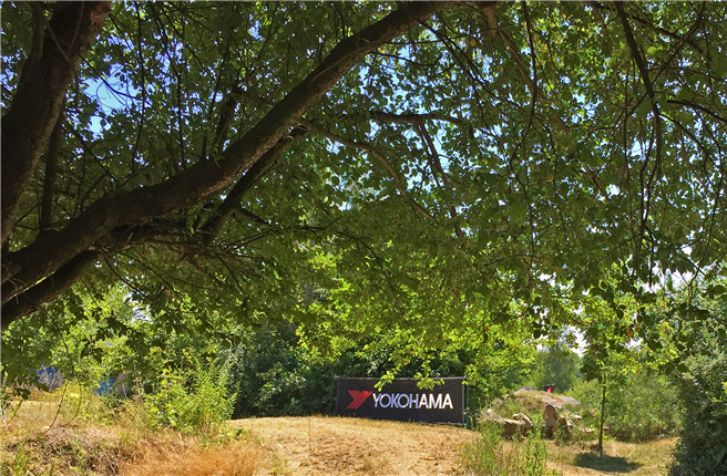 YOKOHAMA setzt sich auf vielfältige Weise für die Natur ein. © YOKOHAMA Reifen GmbH