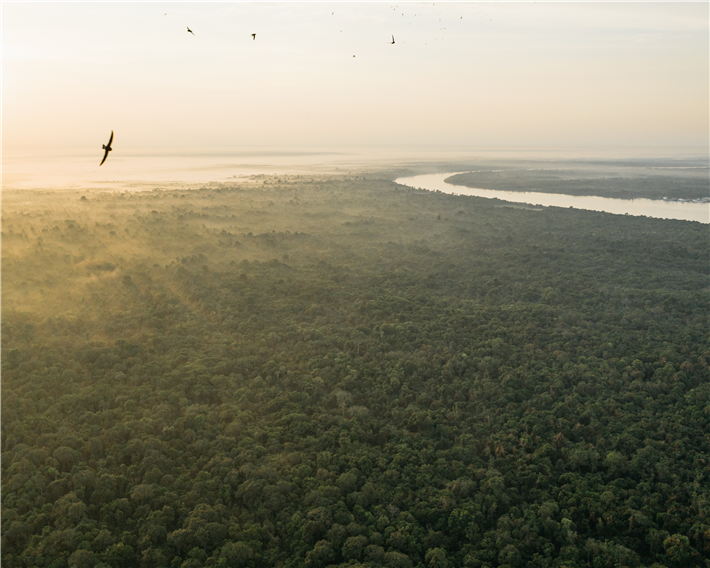 Die tropischen Torfmoorwälder in Indonesien gehören zu den ältesten Regenwäldern der Welt. © PRIMAKLIMA
