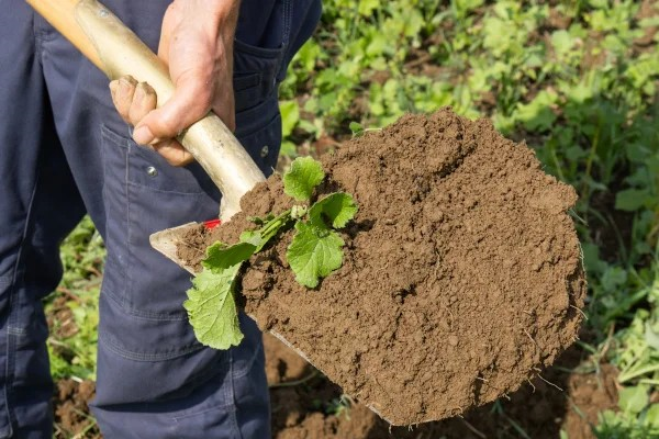 Humusaufbau: Aktiver Klimaschutz im Ökolandbau © LVÖ Bayern