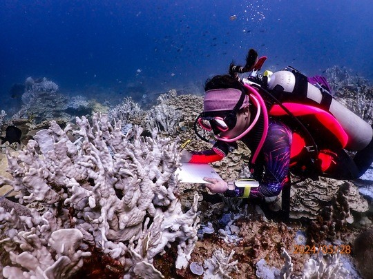 © Sebastian Szereday, Cralku, Malaysia