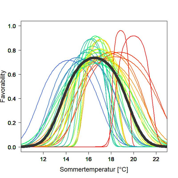 Nischenmodell zur Buche: Die Grafik zeigt die Standortseignung der Buche (schwarze Linie) entlang des Temperaturgradienten (Sommer). Gut erkennbar ist hier die Differenzierung der verschiedenen Ökotypen (farbige Linien) nach Herkunftsgebieten. © Mellert, K. H., Janßen, A., & Seho, M.