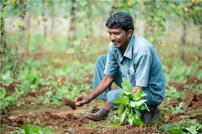 More than half of global GDP is dependent on healthy ecosystem services. Soil is a critical, nodal ecosystem. © Anil Sharma, pexels.com