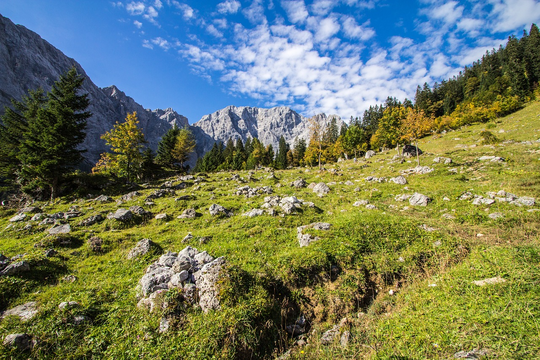 Biodiversität im heimischen Superwood