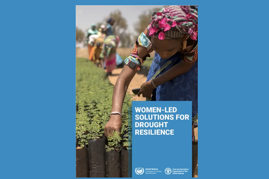 UNCCD: Women in leadership in the face of drought