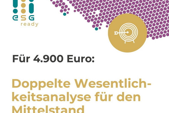 Doppelte Wesentlichkeitsanalyse – es geht auch günstig