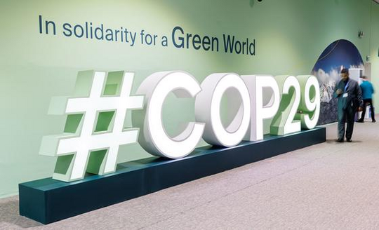 forum special entry on COP29