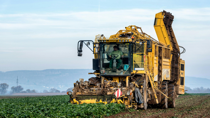 Bodendegradation: Fokusthema auf der COP29