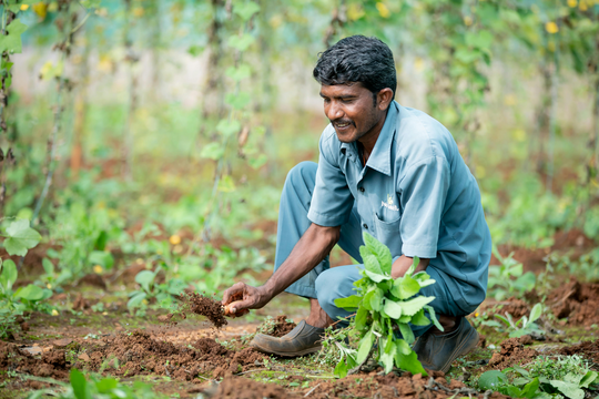 Unlocking Resilience Through Soil