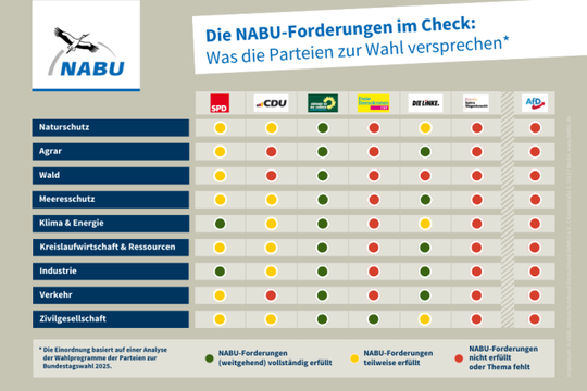 NABU-Analyse: Welche Parteien wollen Klimaschutz anpacken und Biodiversitätskrise stoppen?