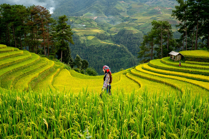 Landrestaurierung als Schlüssel zur globalen Sicherheit