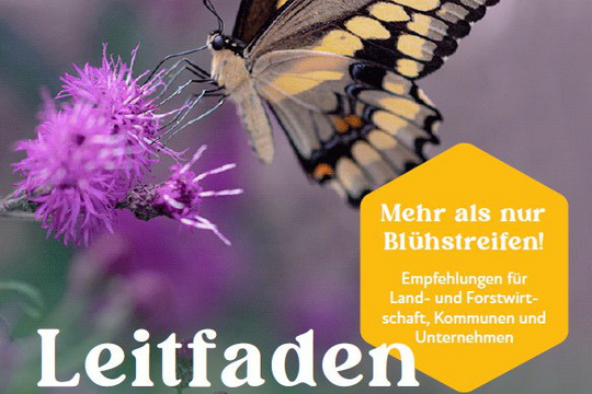 Blühstreifen alleine reichen nicht