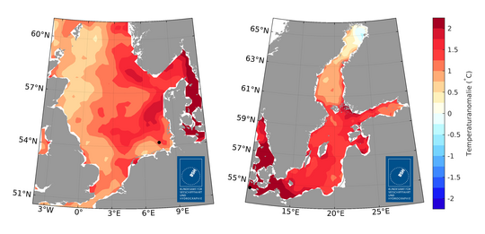 Nordsee im Frühjahr 2025 so warm wie nie zuvor
