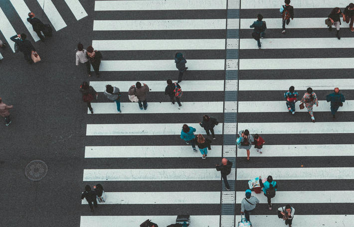 Looking Ahead: Democracy as the Backbone of Sustainability