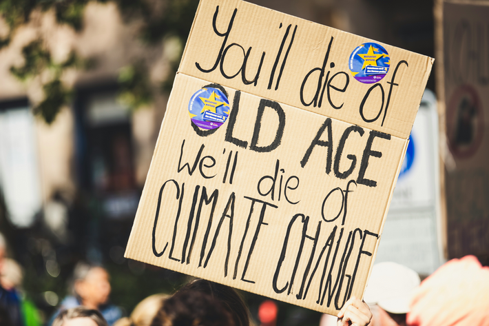 Klimaschutz und Klimaanpassung als Gemeinschaftsaufgabe von Bund, Ländern und Kommunen