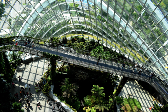 Embedding Sustainability: von ESG-Reporting zu echtem Mehrwert